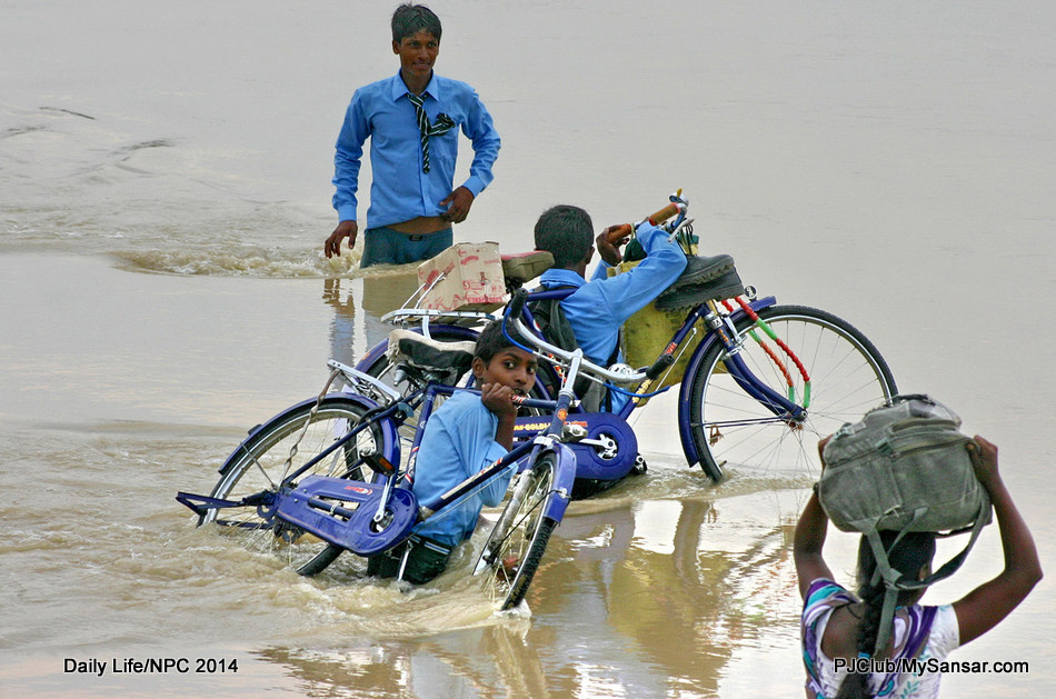 Students struggle as they wade through the Banganga River in Kapilvastu with their school bags and bikes. Photo: Manoj  Paudel 