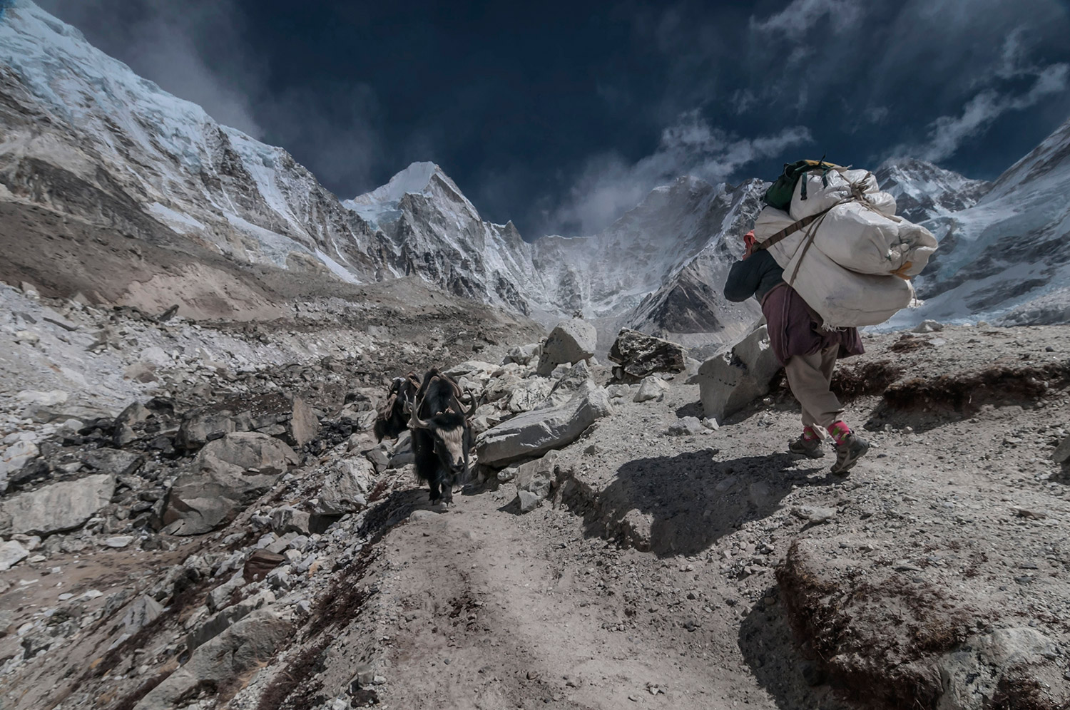 A porter carries a massive load on his back as he makes his way to the Everest Base Camp.  Photo: Birendra Raj Bajracharya 